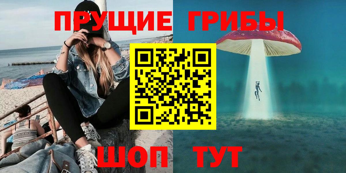 Таганрог  Галлюциногенные грибы Psilocybine cubensis  Вход с VPN 
